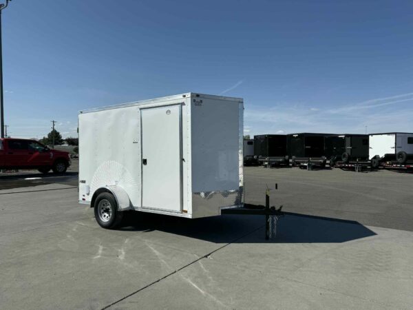 6X10 E-SERIES REAR BARN DOORS - Image 4